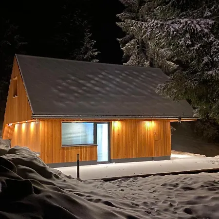 Brunarica Chalet Rogla Sauna Vitanje Exterior photo