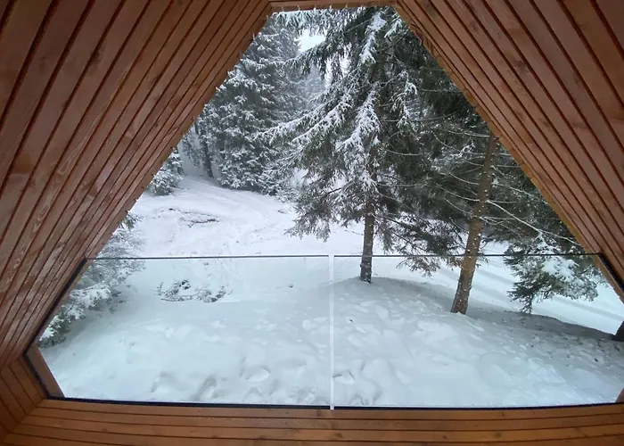 Brunarica Chalet Rogla Sauna